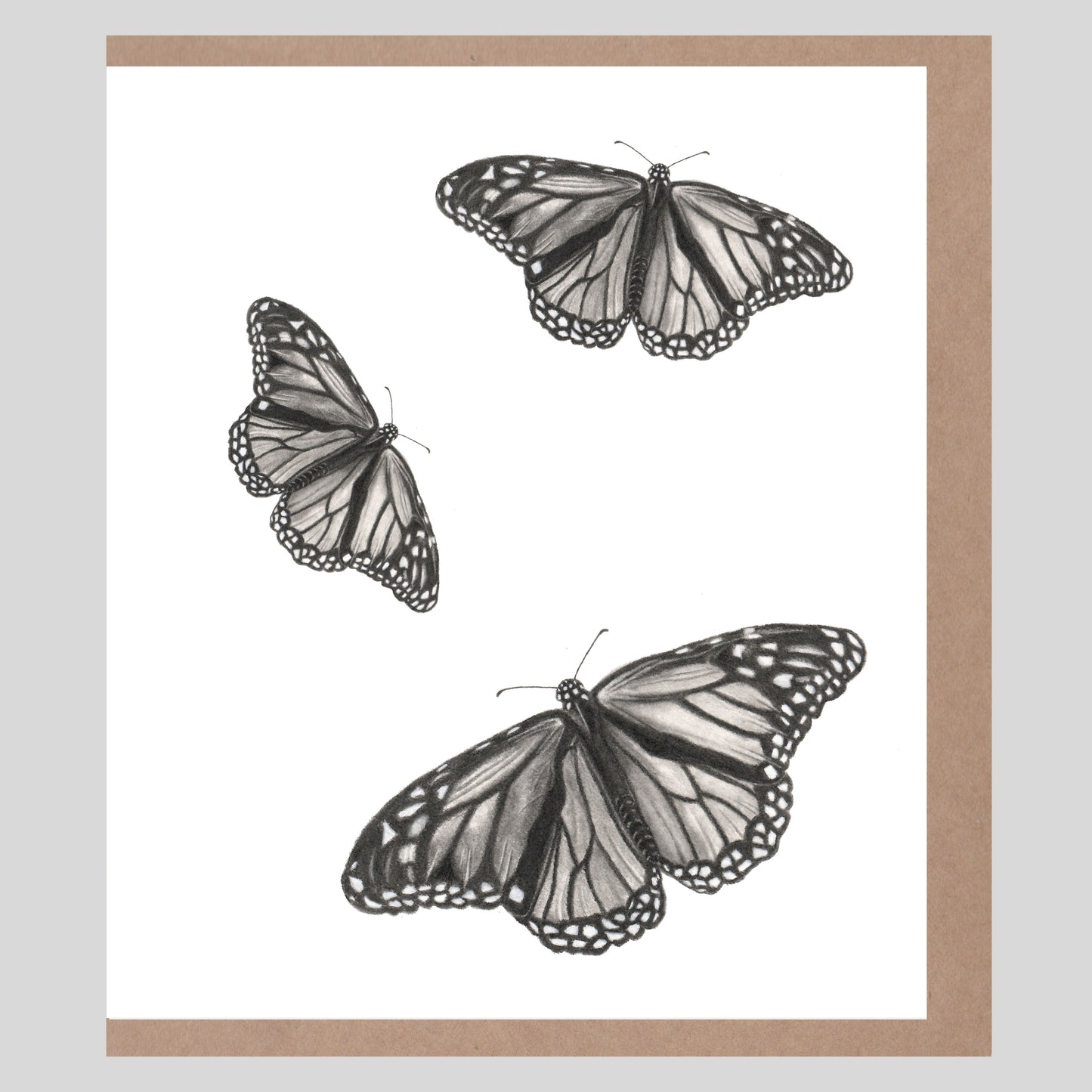 Butterflies