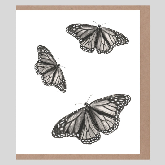 Butterflies
