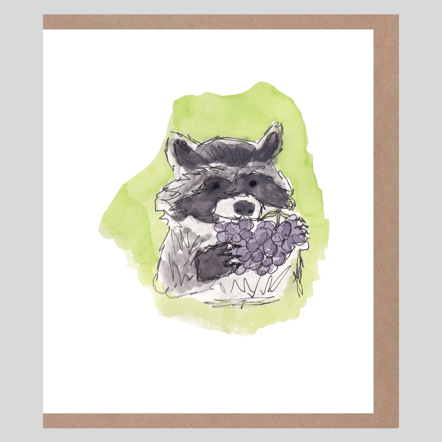 Racoon With Grapes